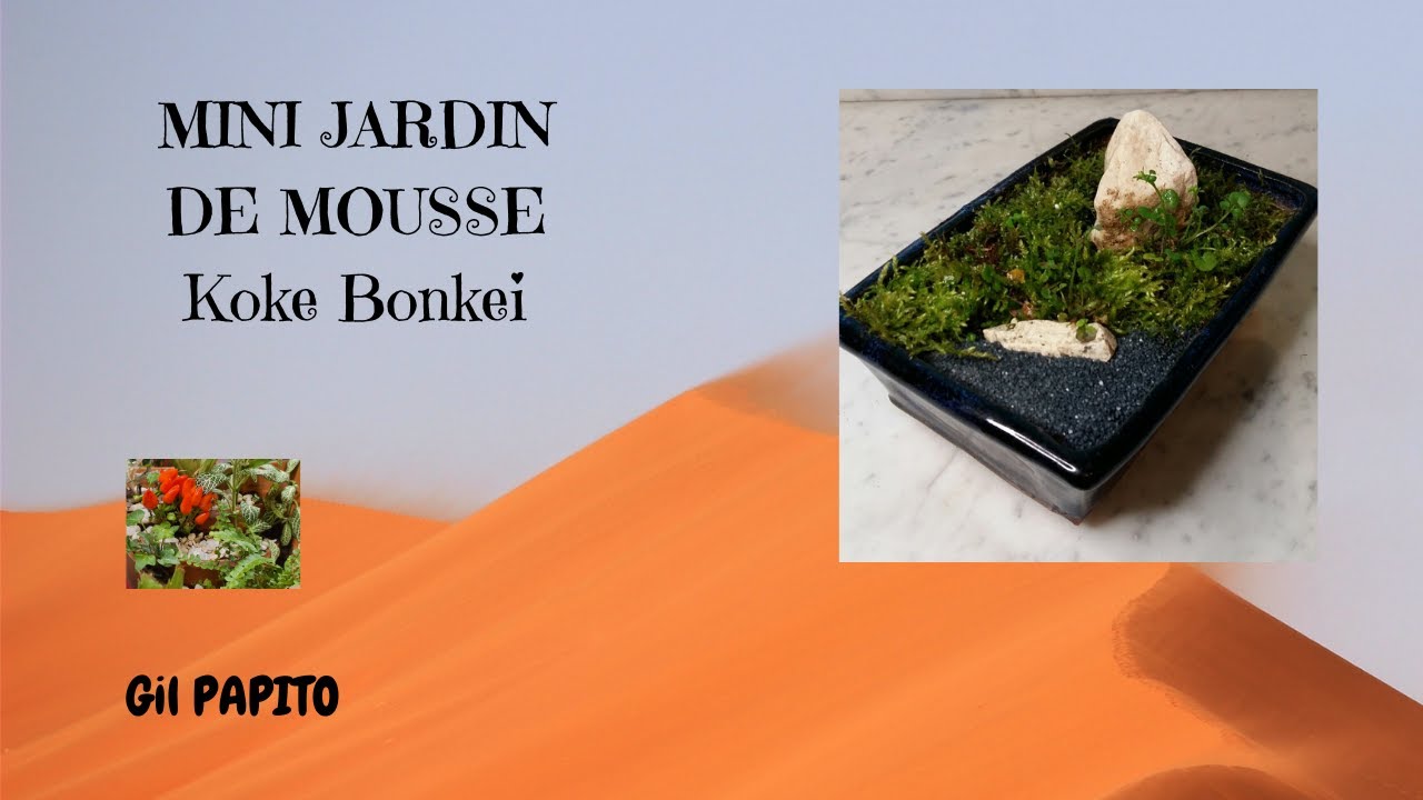 Comment créer un mini jardin de mousse (koke bonkei))