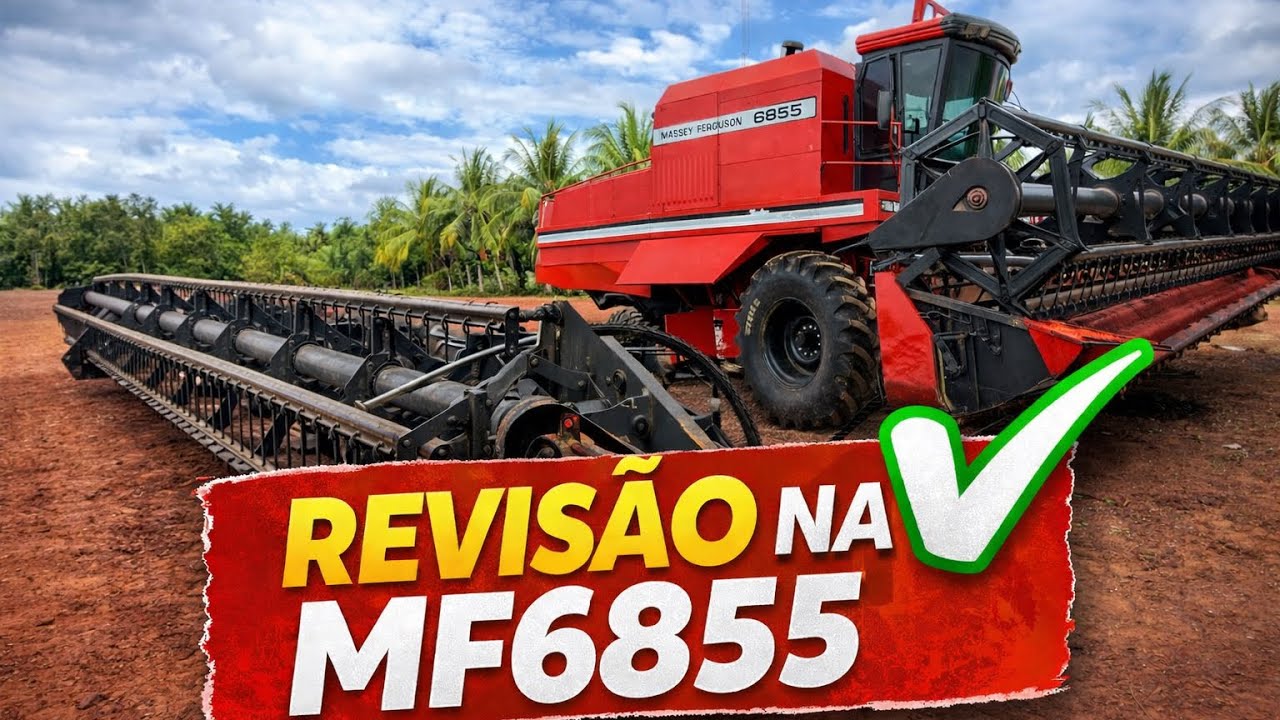 PEGADO NA REVISÃO DA MF 6855 // SOJA DEMORANDO PRA SECAR