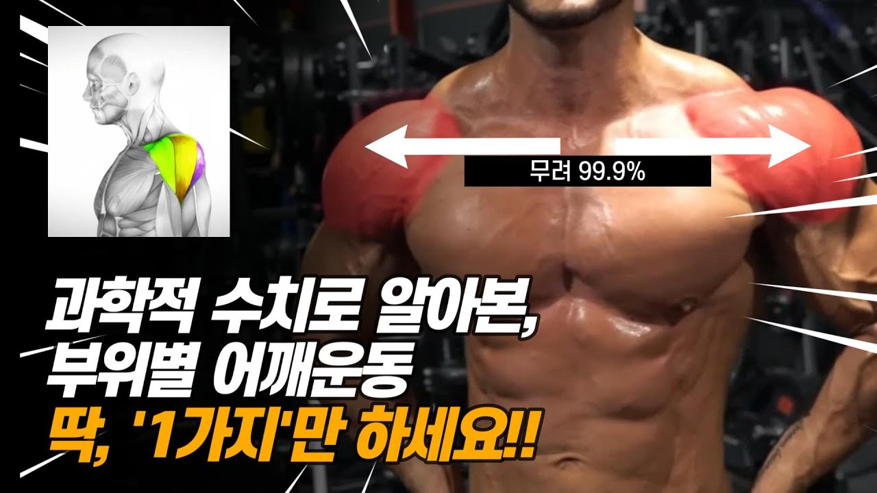 최신 근활성도 기계로 알아본 가장 효율적인 어깨운동 1위는?(어깨운동 부위별 딱 '1가지'만 하면 어깨깡패가 될 수 있습니다)