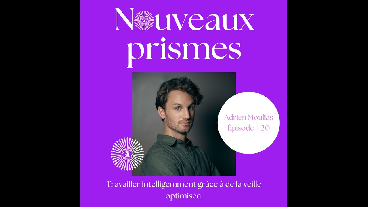 20 - Adrien Moulias - Travailler intelligemment gr&acirc;ce &agrave; de la veille optimis&eacute;e. Rh, ressources hu...