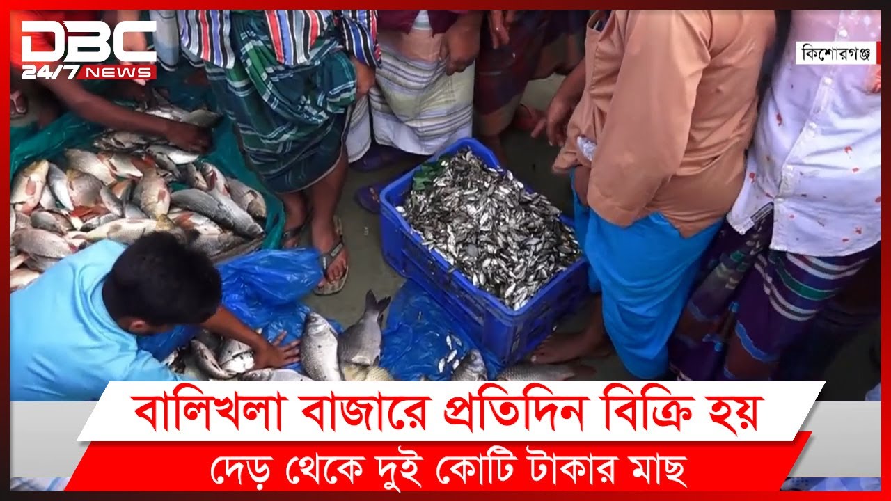 দেশি মাছের রাজ্য কিশোরগঞ্জের বালিখলা মাছবাজার।