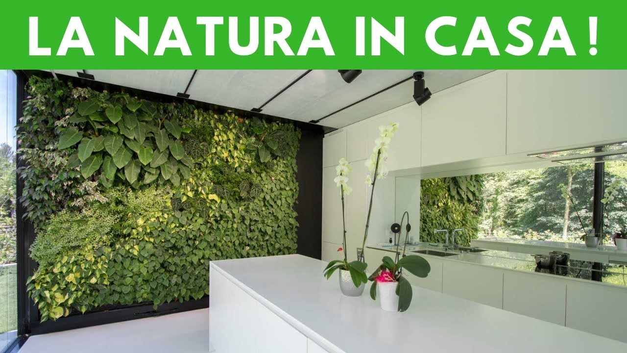 Giardino verticale = Natura in casa! 🍀🌺🏡