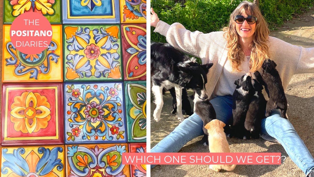 THE KITCHEN REDO BEGINS (WITH PUPPY INTERLUDES!) | The Positano Diaries EP 165