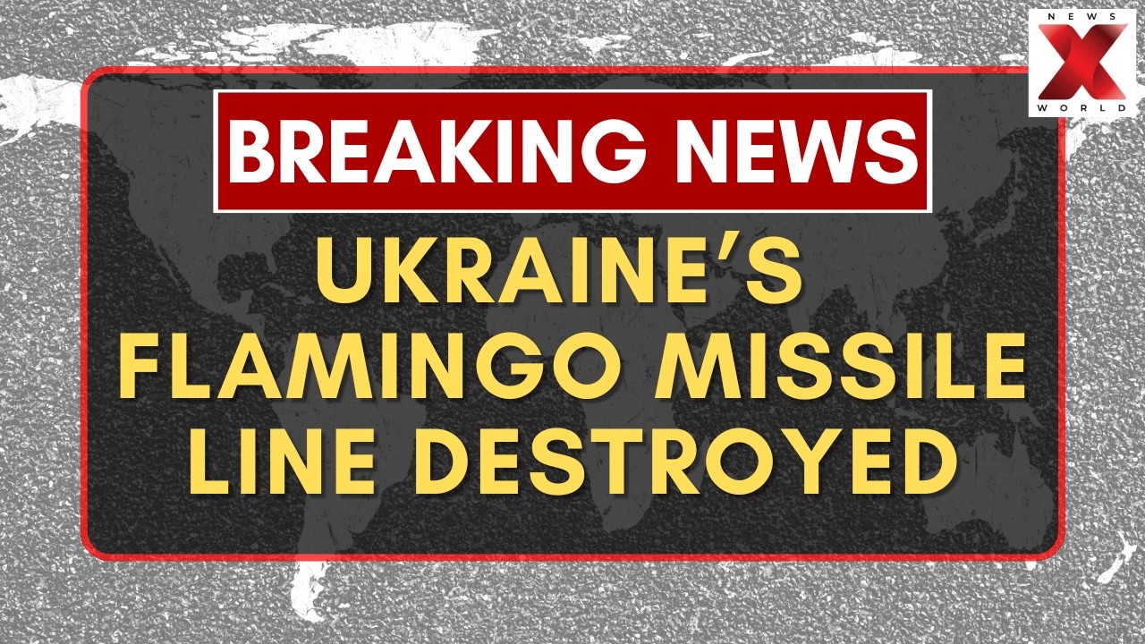 Ukraine's Flamingo Missile Production Line Destroyed in Strike, Zelensky Confirms | NewsX World