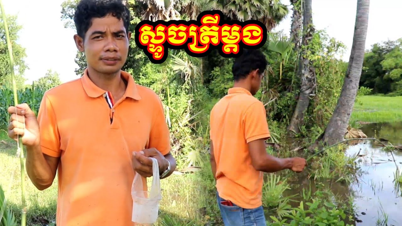 រកដ្កូវស្ទូកត្រី Find fish stocks