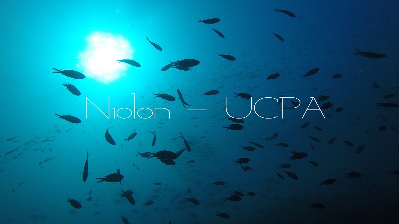 Diving mediterranean sea - Niolon UCPA in 4K