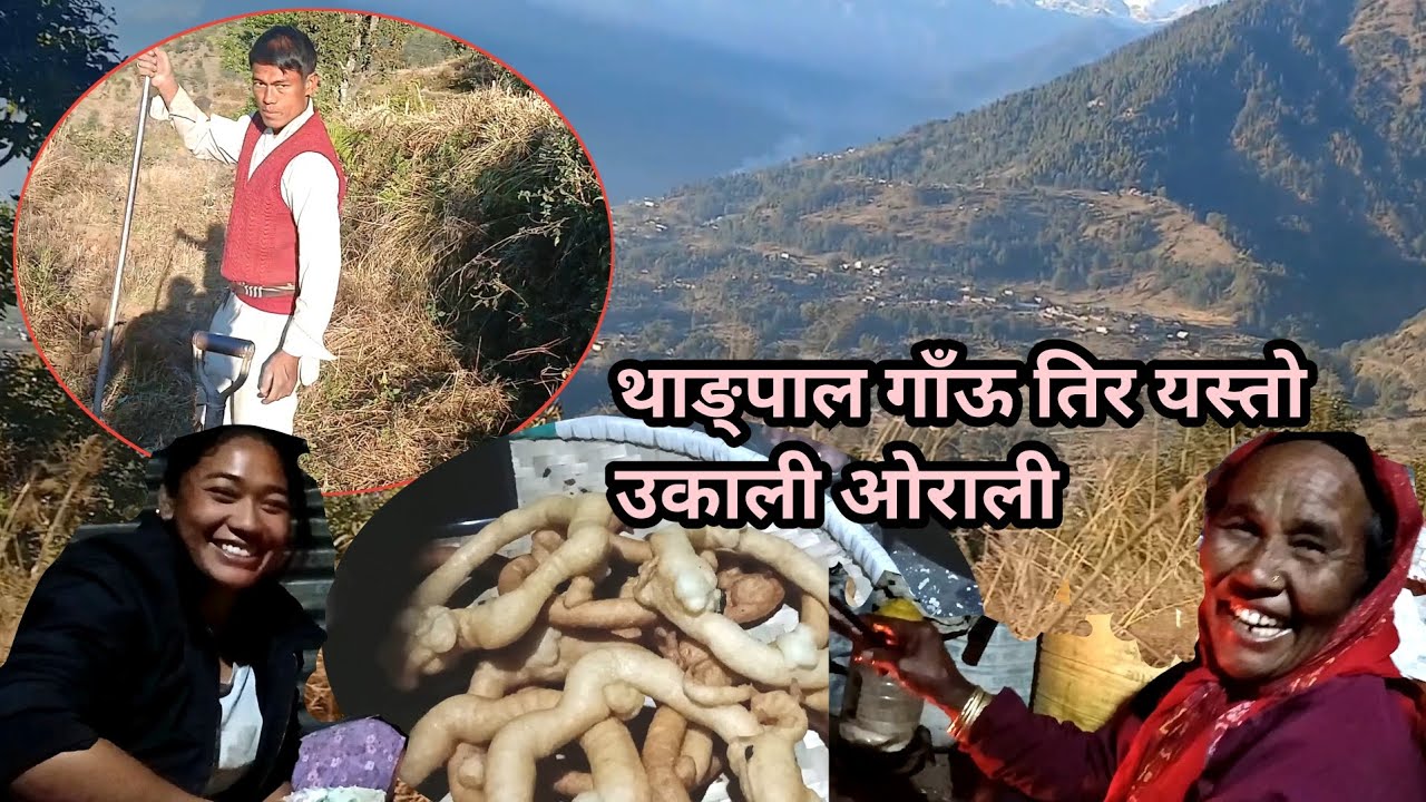थाङ्पाल गाँऊ तिर रमाइलो 🫠❤️ Thangpal VillageVlog Sindhupalchowk Vlogs #TheGoleBronepal 