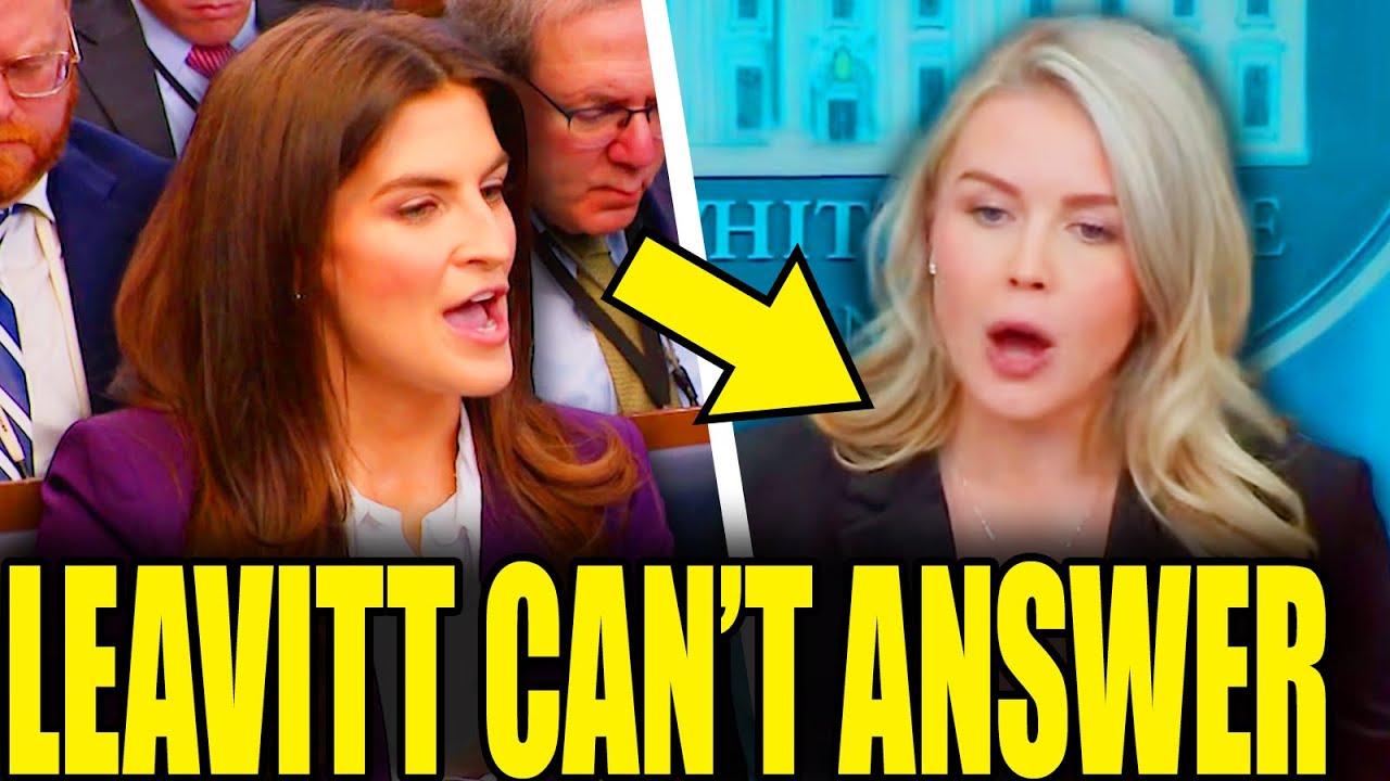 Leavitt Snaps As New Epstein Evidence Blows Up Lie 