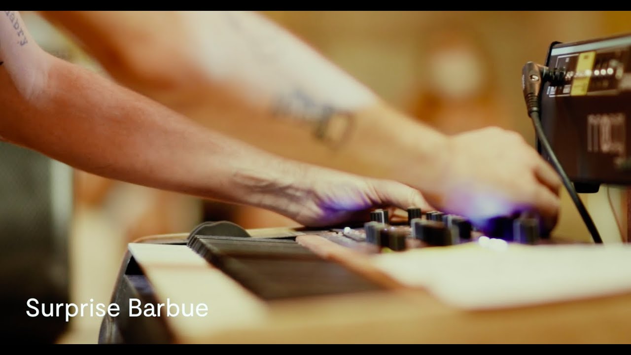 Surprise Barbue - SP Sessions