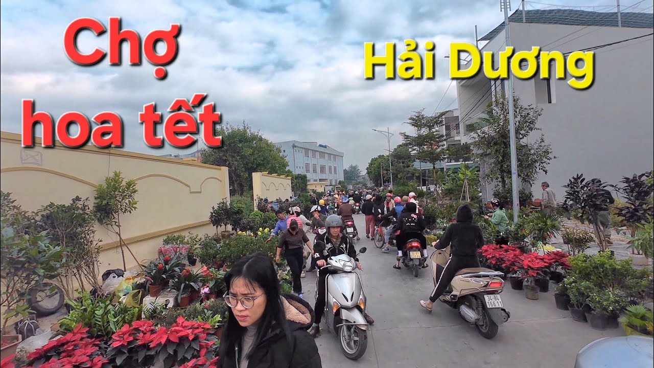 Rất nhộn nhịp phiên chợ hoa Tết ở Hải Dương
