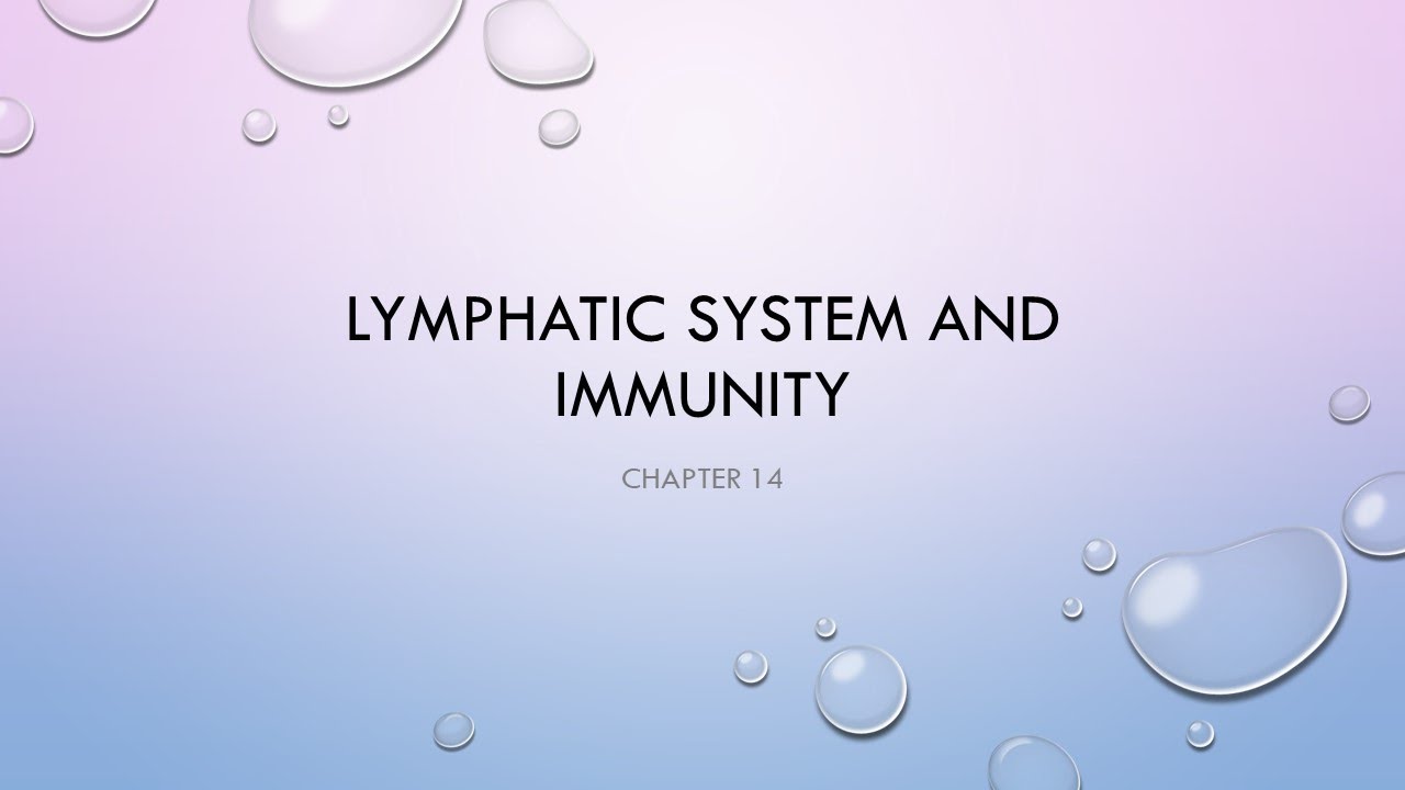 Lymphatic and Immune systems Anatomy and Physiology 2