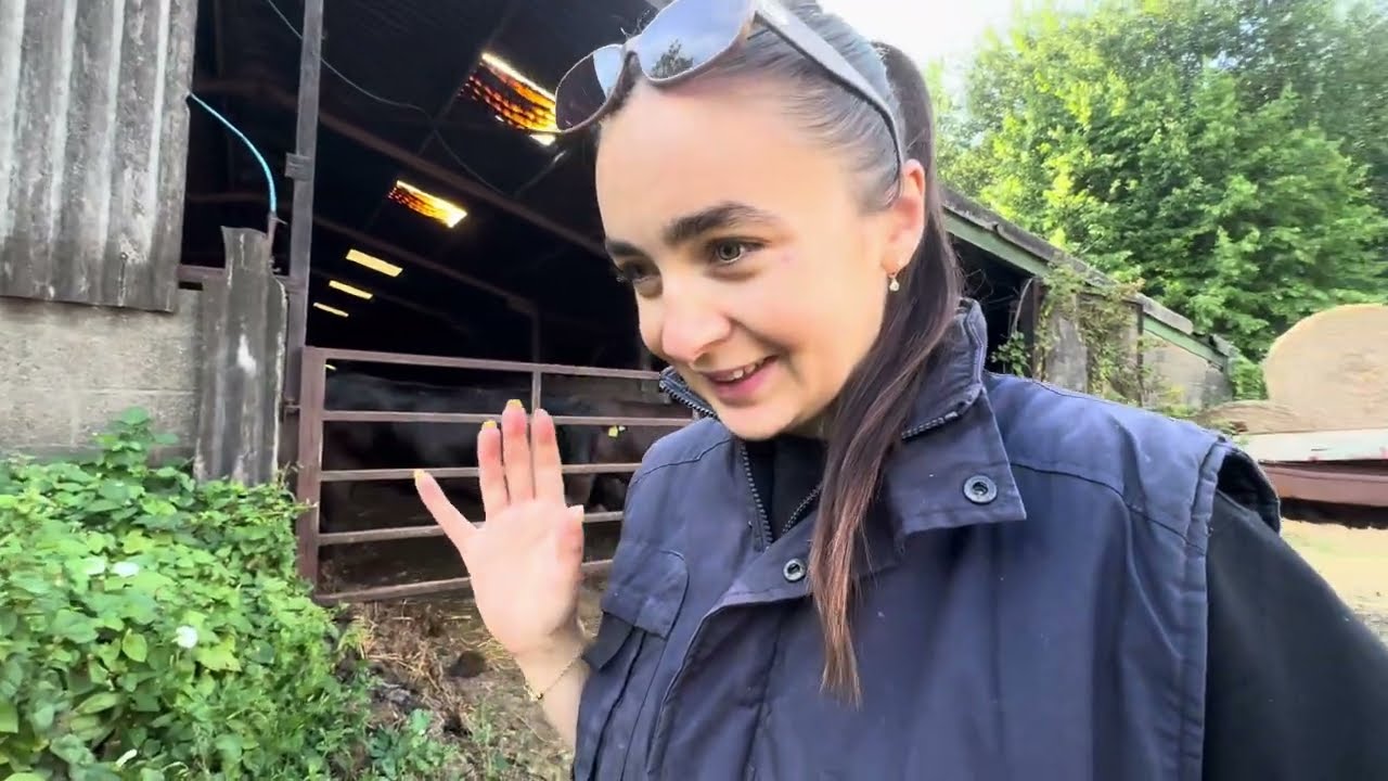 Week on a British Farm | Female Farmer Sends Cows to M&S, New Angus Cattle & Berry Taste Test