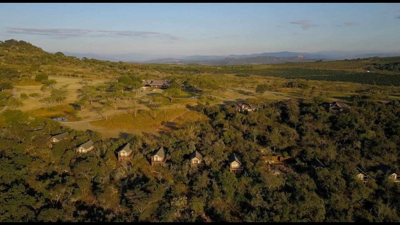 Muluwa Lodge, Mpumalanga, South Africa  (with Subtitles)