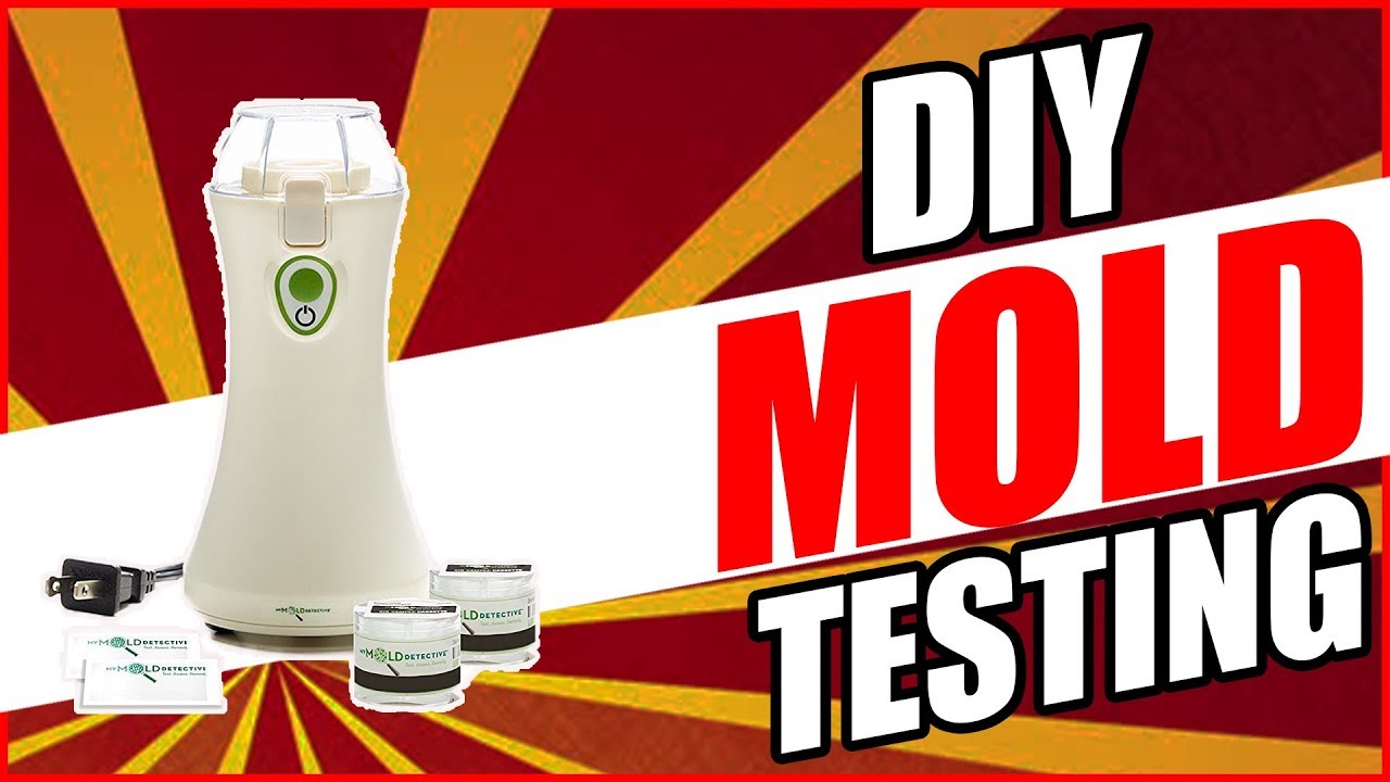 MyMoldDetective Review DIY Mold Testing - Test For Mold Cheap 🤢