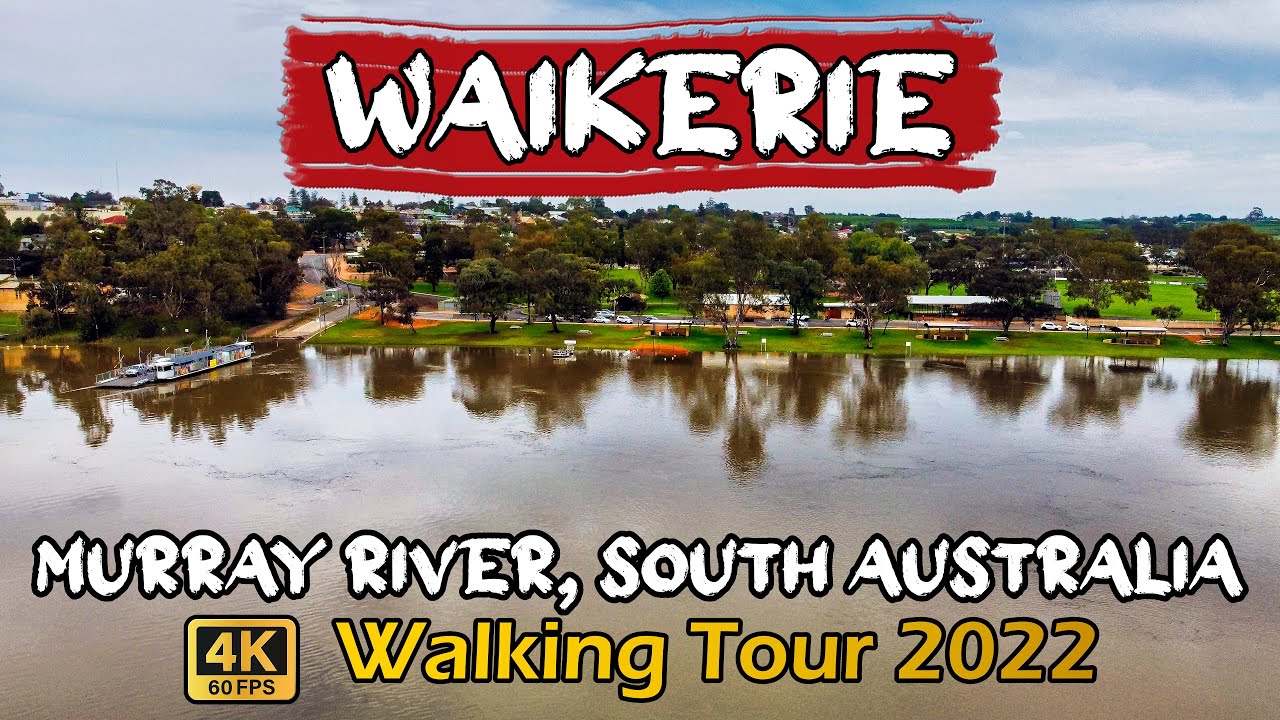 Waikerie SA, Murray River Walking Tour [4k-60fps] | River Levels 🇦🇺 🦘