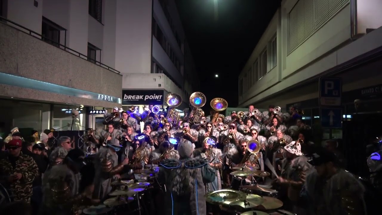 Fleigutätscher Visp - Visper Fasnacht 22.02.2025