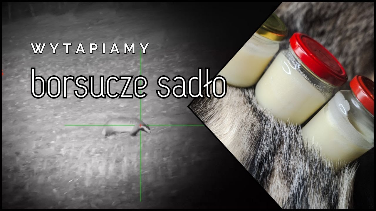 DIANA BYC 21/2024 Naturalne białe złoto. Jak wytopić sadło z borsuka?