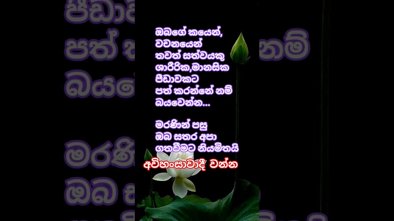 #dhamma #dhammatalk #dhammaforlife #goodlife #motivation #buddhistteaching #buddhistphilosophy