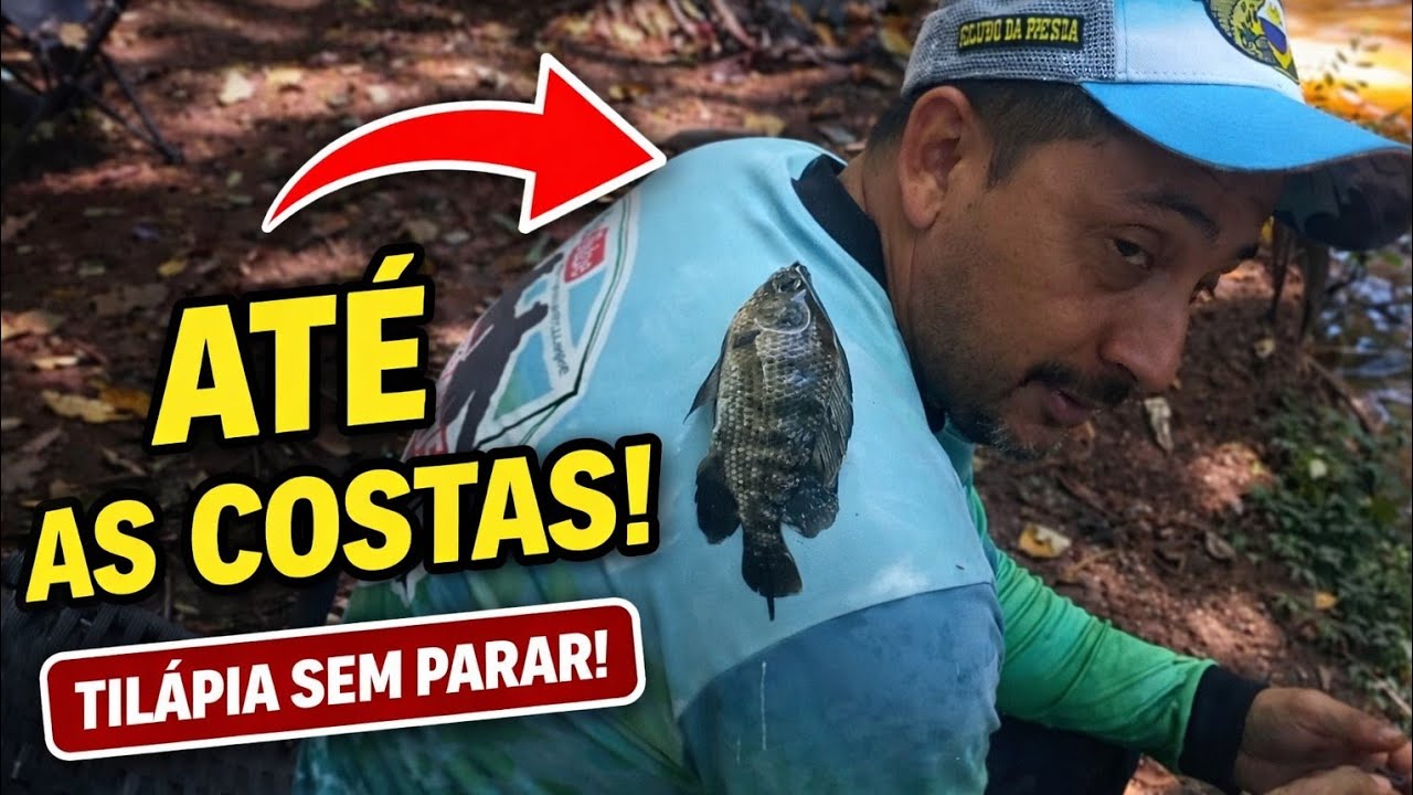 QUINTO VÍDEO DA SÉRIE! TILÁPIAS TOMARAM CONTA DO RIO! 🔥🎣
