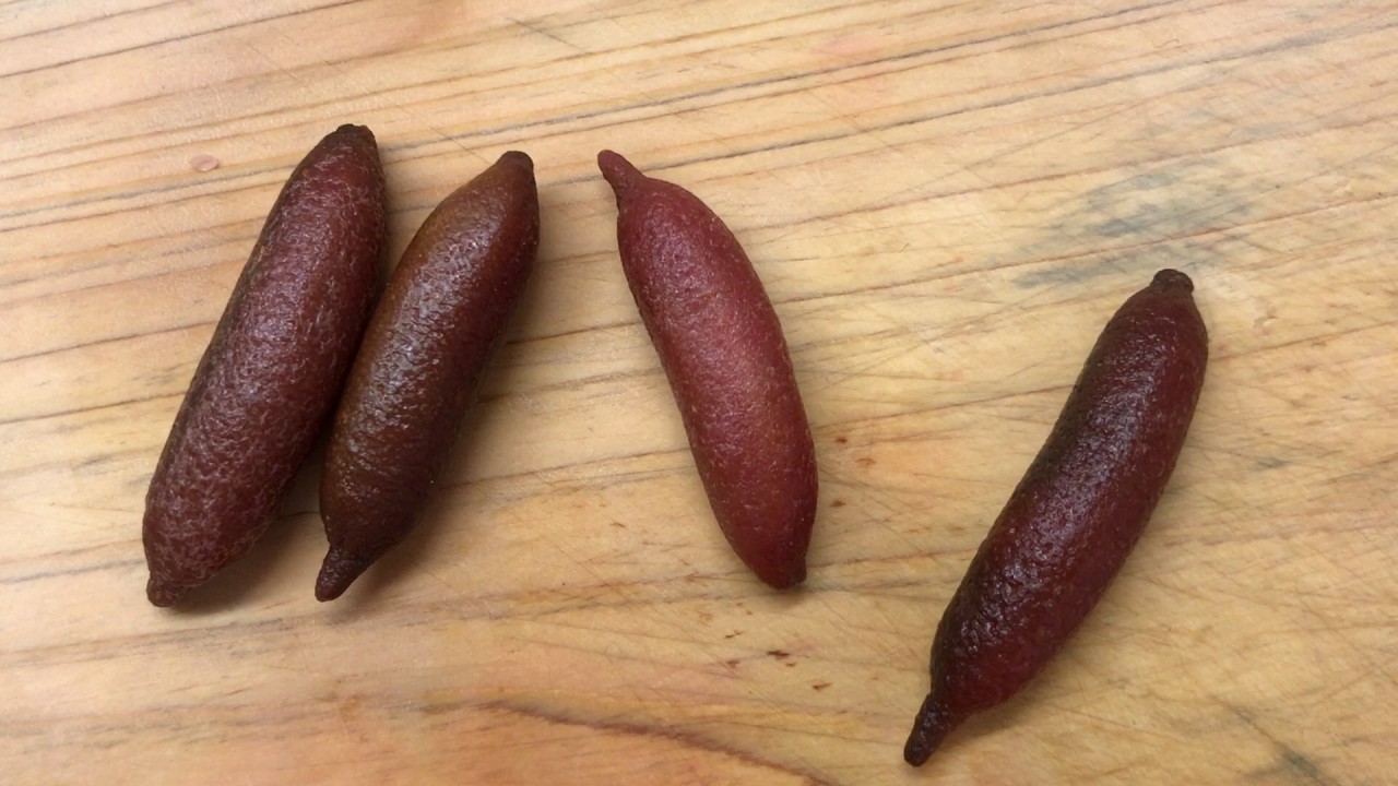 Citron caviar or finger lime: how to use it! by Chef Eldar Kabiri