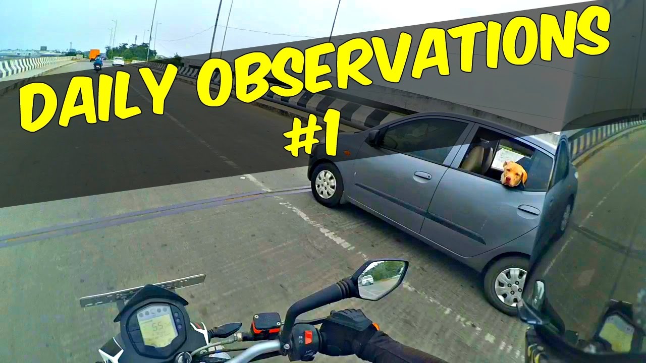 DAILY OBSERVATIONS #1 KTM DUKE 200 | CHENNAI | STUPID DRIVERS, PIPES FALLING DOWN, CUTE DOG