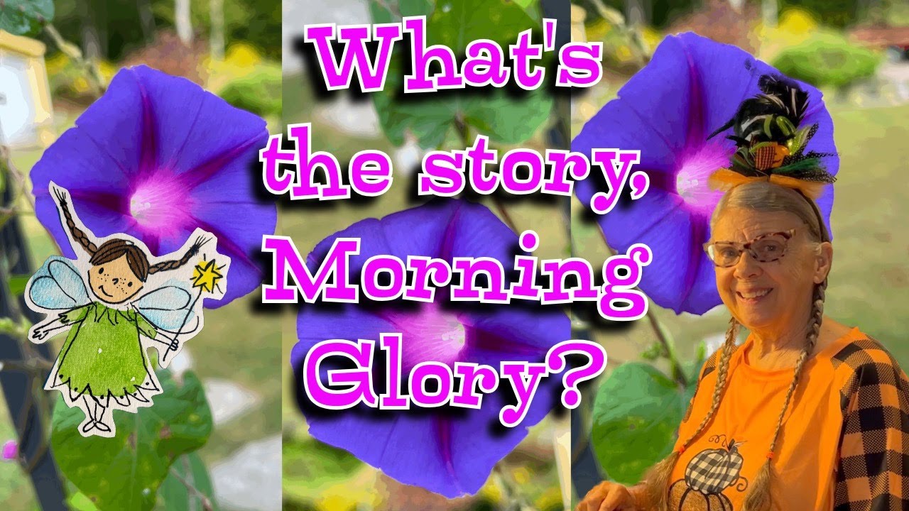 What's the Story, Morning Glory? A Whimsical Teacup House for the Green Fairy!