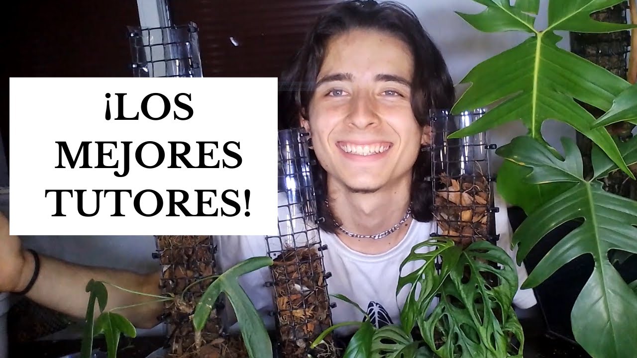 TODO sobre los TUTORES para PLANTAS TREPADORAS | GREENFISHROOM