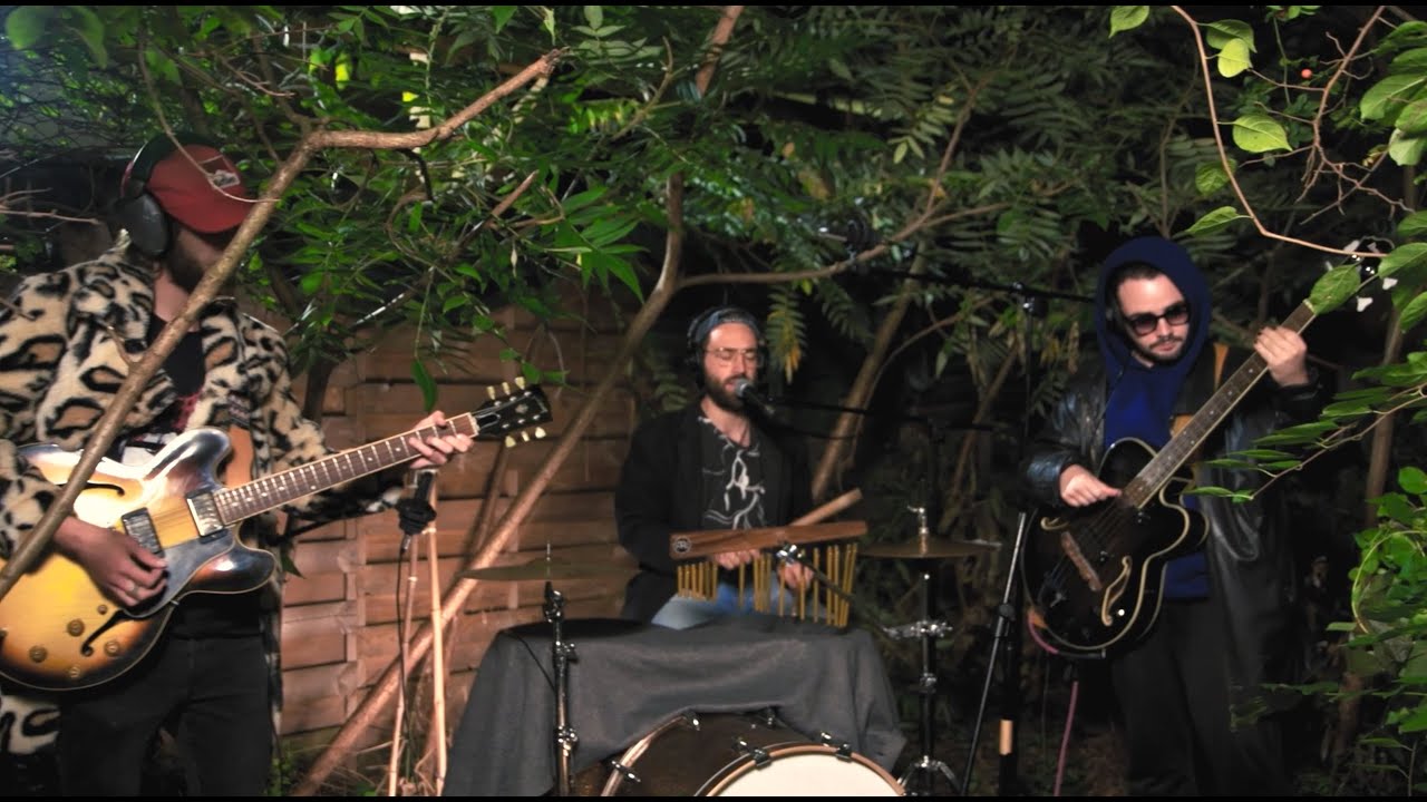 Marek Niedzielski - To samo | KRZAKI Sesja 2023 #livesession #live