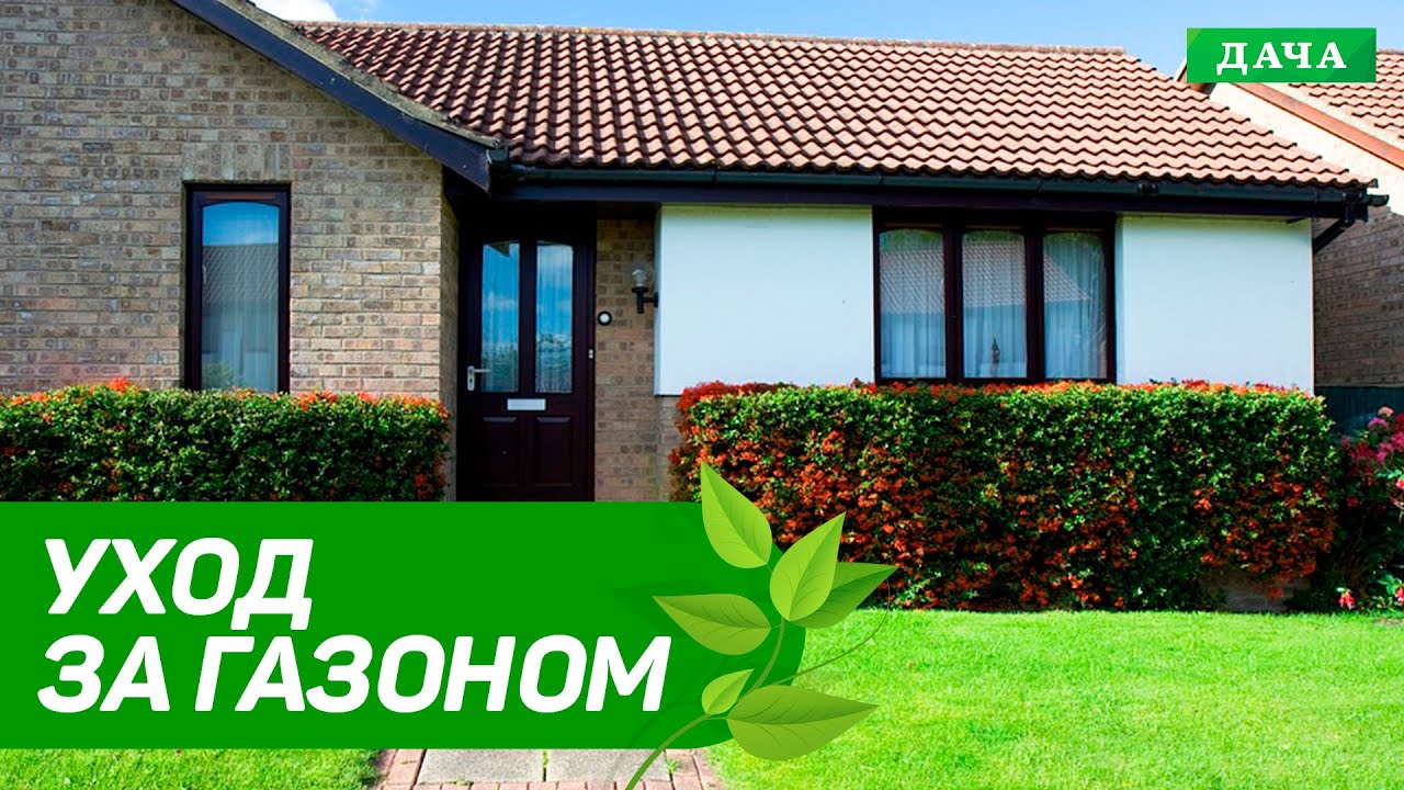 Уход за газоном после зимы