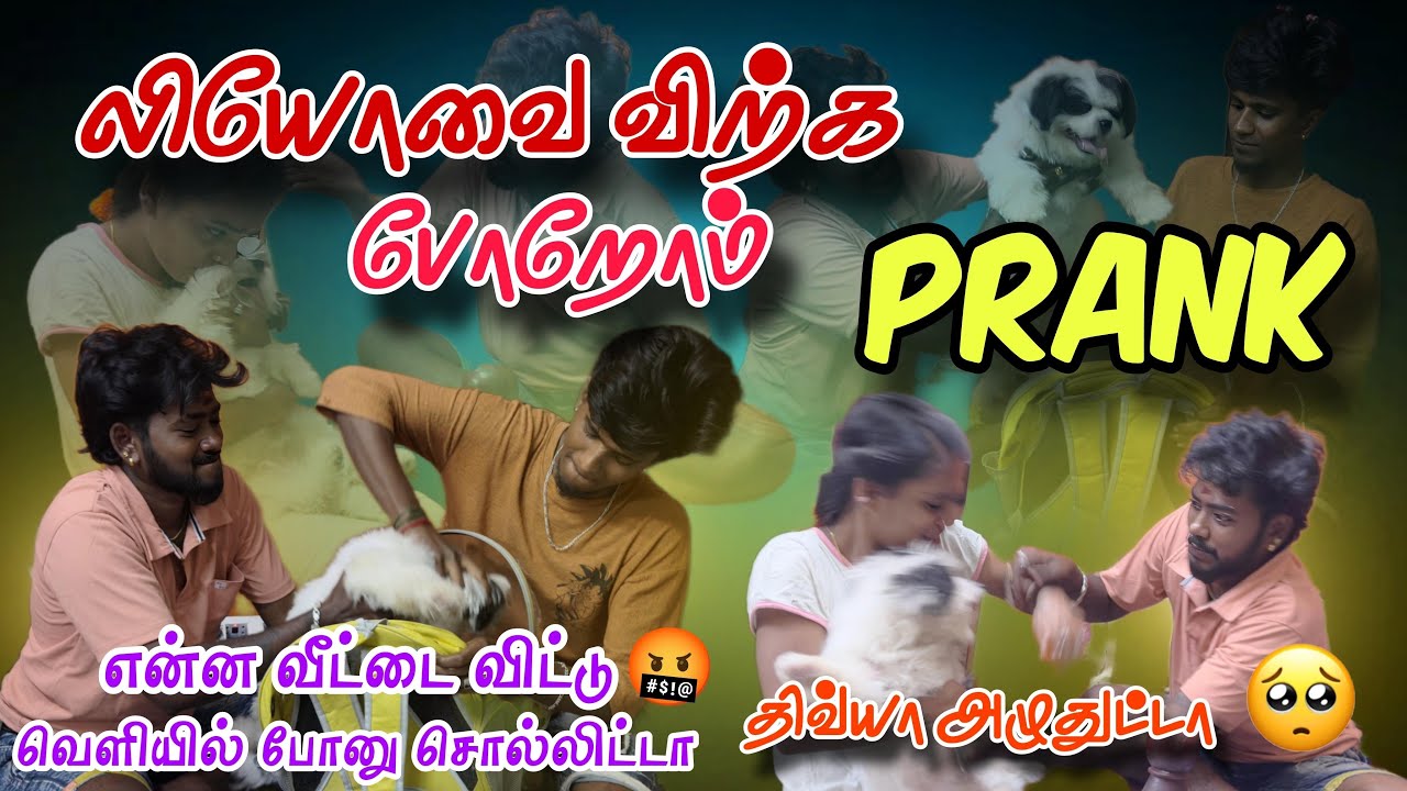 என்ன வீட்டை விட்டு வெளியில் போனு சொல்லிட்டா Divya🥹#madhandivya #trendingcouple #prank #funvideos