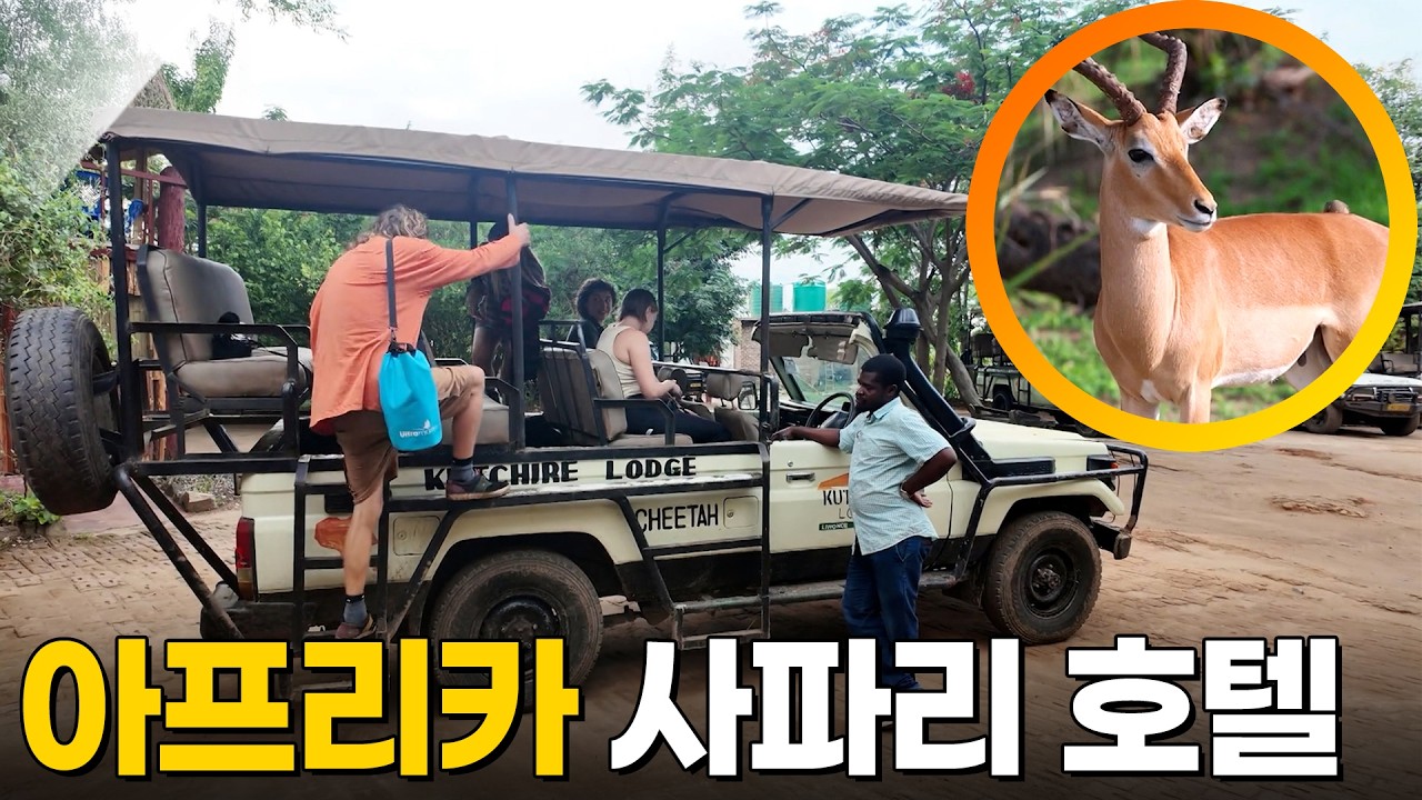 아프리카 사파리 호텔 [걸어서세계속으로] KBS 260110 방송