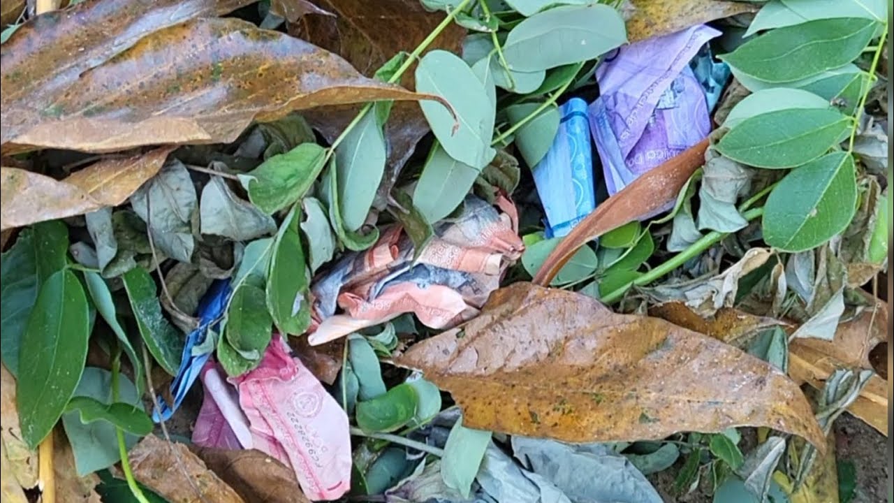 Mi vecina tenía interés de barrer por esta razón.😦