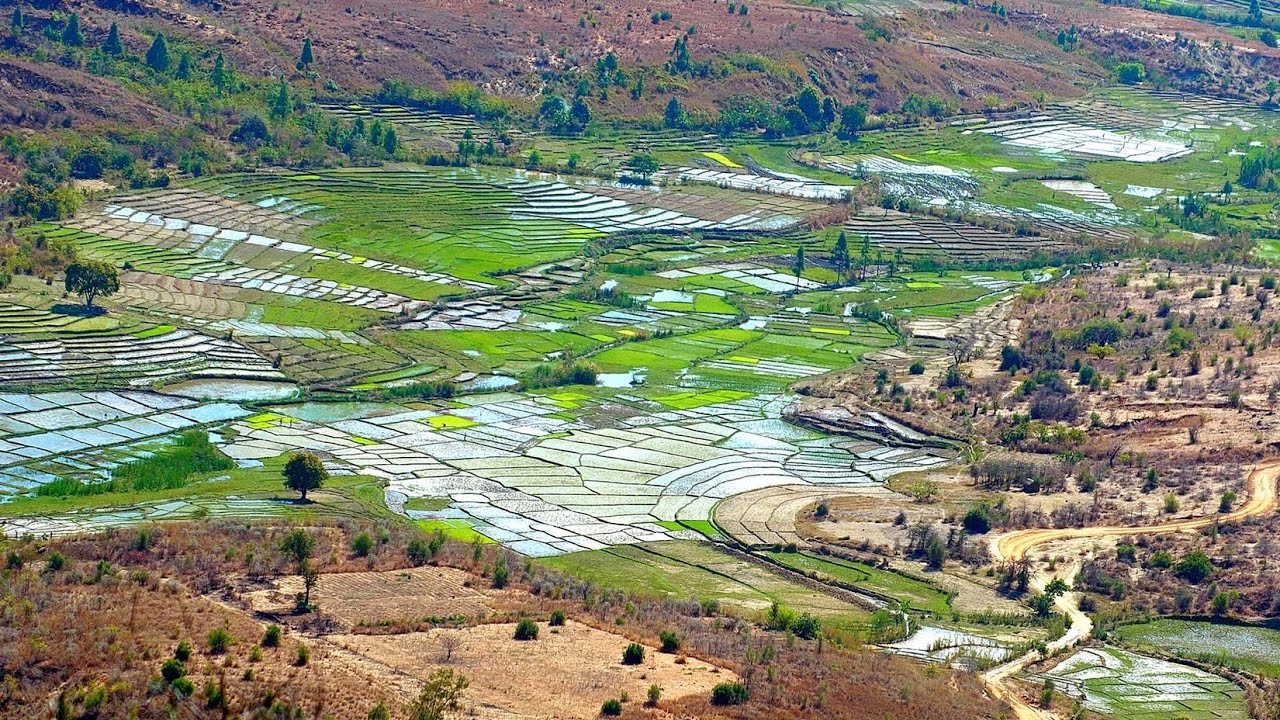 031 Madagascar, Ranohira parc de l'Isalo