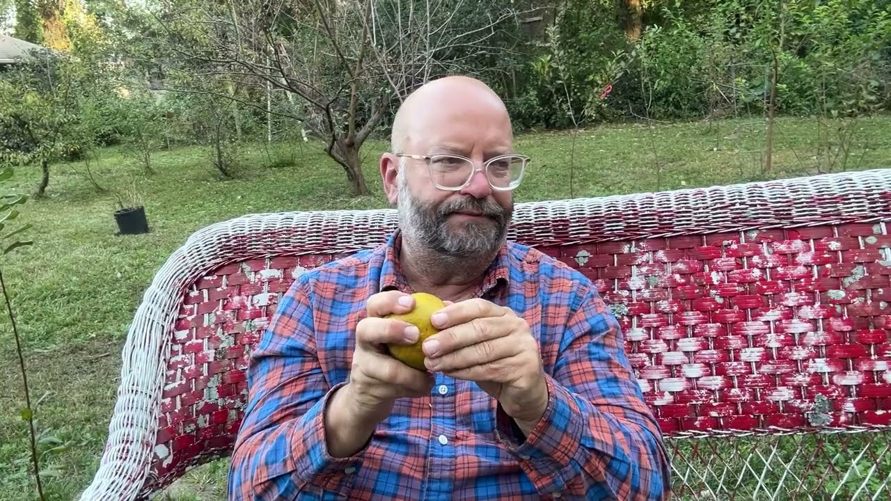 Citrus Taste Test October 25th 2025