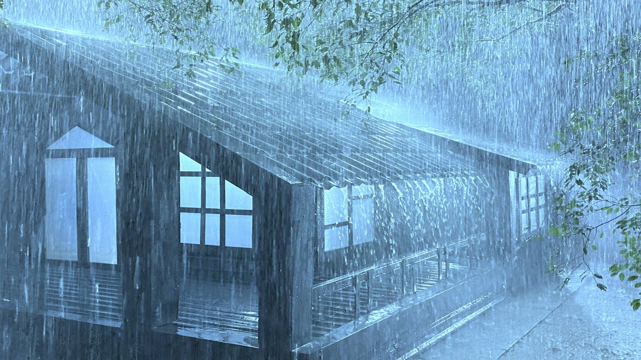 Relieve Stress to Sleep Soundly with the Sound of Pattering Rain & Thunder Roaring on Thick Tin Roof