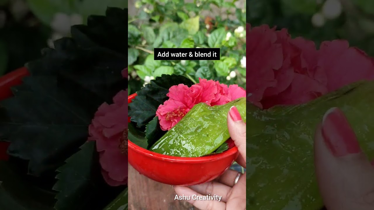 Hibiscus hair mask for extreme hair growth|Strong Hair|Diy anti-hairfall Hibiscus Mask #shorts