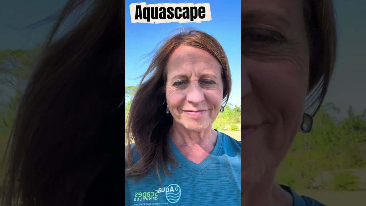 The ecosystems of Aquascapes.  Pond builder Naples, Florida
