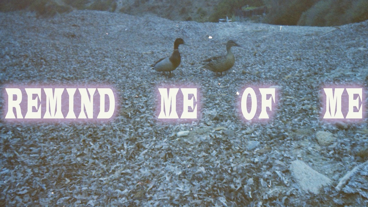 Florence Besch - Remind Me of Me (Official Music Video)