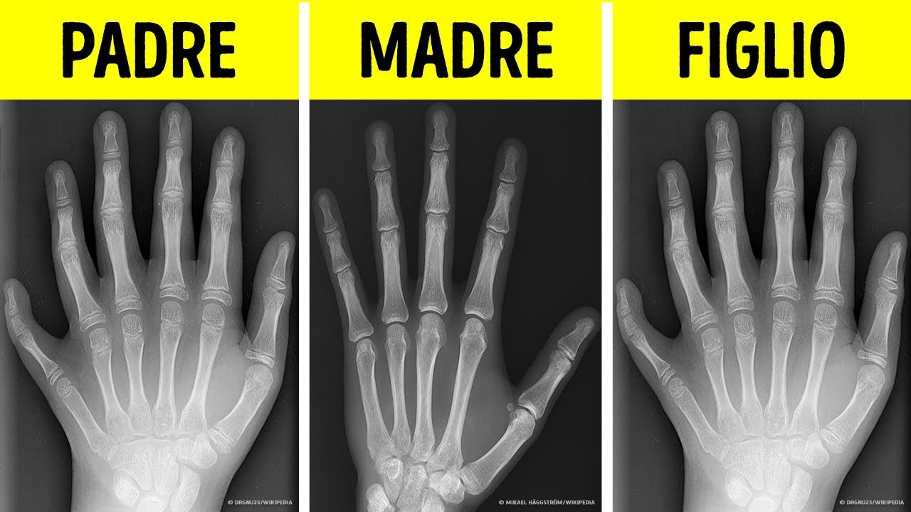 30 Curiosità Inaspettate che Non Ti Aspetteresti Mai