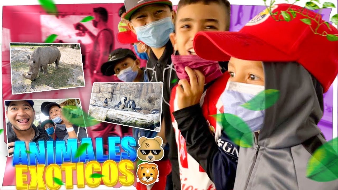 JAMÁS HABÍAN VISTO ESOS ANIMALES LOS SOÑADORES EN EL ZOO 🐺🐯🐻 / Grillo La Duda