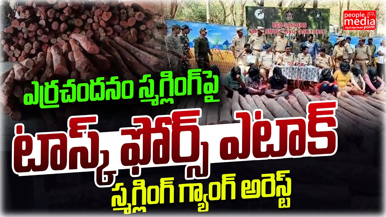 ఎర్రచందనం స్మగ్లింగ్‌పై టాస్క్ ఫోర్స్ ఎటాక్.. స్మగ్లింగ్ గ్యాంగ్ అరెస్ట్..| | People Media Point