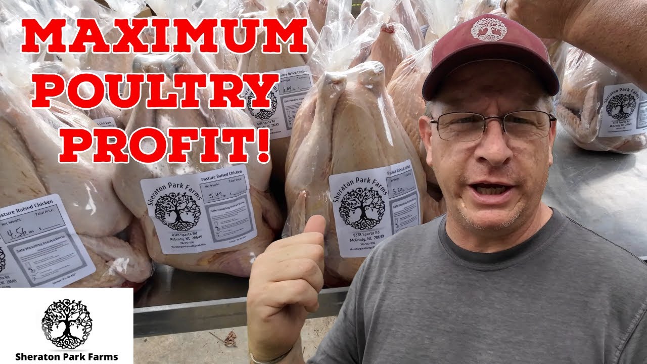 The LAST Pastured Poultry Processing  Video You&rsquo;ll Ever Need!