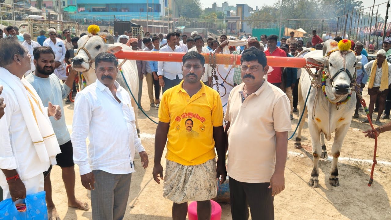 గిద్దలూరు గ్రామం ఆరు పళ్ళు విభాగం 2వ జతDVK BULLS 