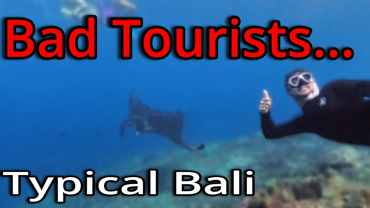 Bali Adventures, Bad Tourists and Diving with Manta rays! 