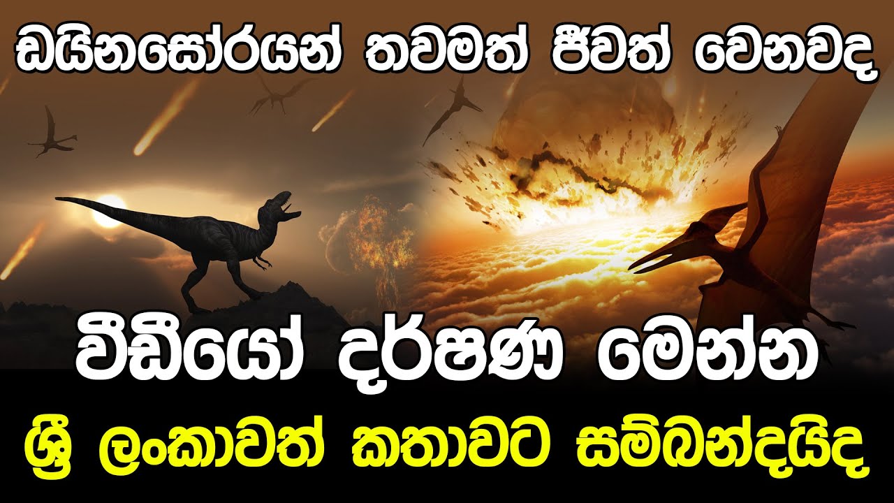 ඩයිනසෝරයන් තවමත් ජීවත් වෙනවද.? | Dinosaur Documentary in Sinhala |