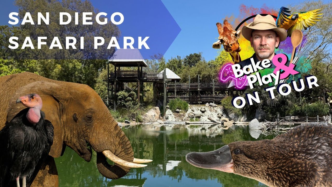 Bake & Play on Tour - San Diego Safari Park - Vlog