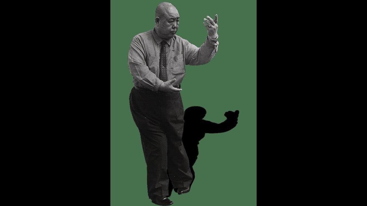 王樹金傳太極拳 #martialarts #kungfu