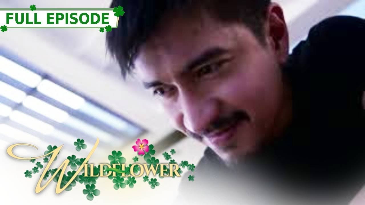 Full Episode 227 | Wildflower with ENG SUB | Maja Salvador, Joseph Marco, RK Bagatsing
