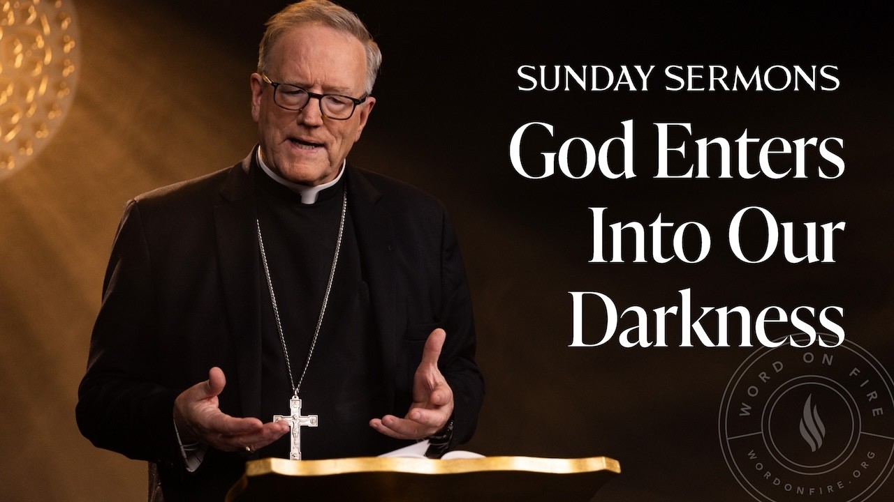 God Enters Into Our Darkness - Bishop Barron's Sunday Sermons