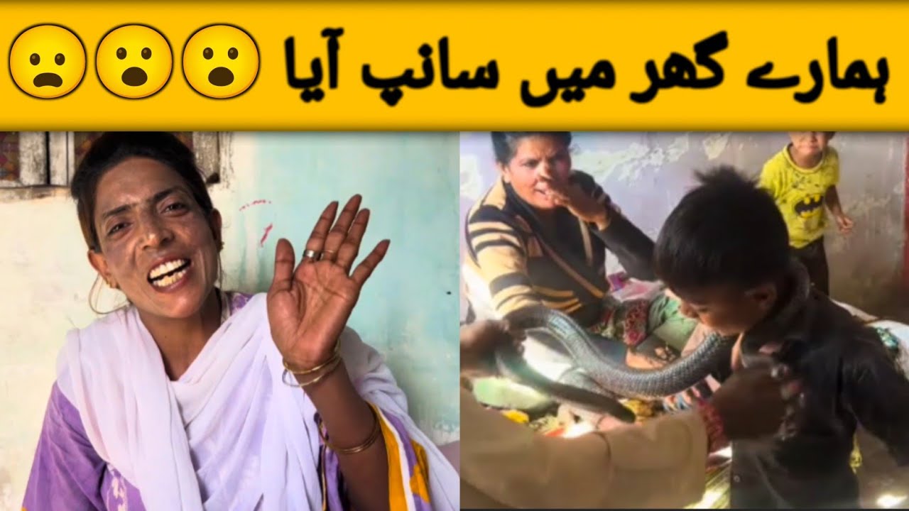 Hmara ghr snake Aya gaya || Sonia Gopal new vlog || Sonia Gopal new business